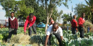 3h-6th-eduplant-cluster-workshop-facilitated-by-make-africa-green-9.jpg