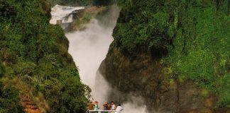 Uganda murchison-falls.jpg