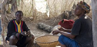 oysters-gambia.jpg